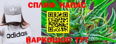 эйфоретик Можга