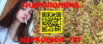 дмт Можайск