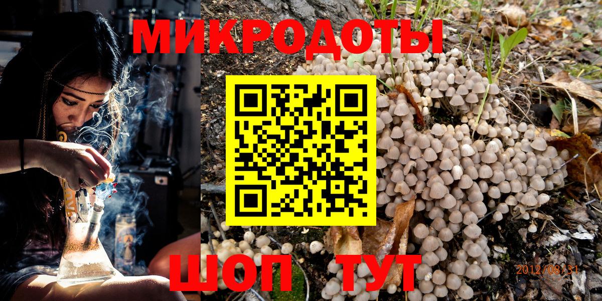Таганрог  закладки  Вход с VPN  Псилоцибиновые грибы MAGIC MUSHROOMS  Галлюциногенные грибы Psilocybe 